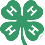 4h