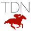  T D N