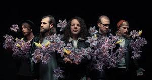 A Lot Like Birds