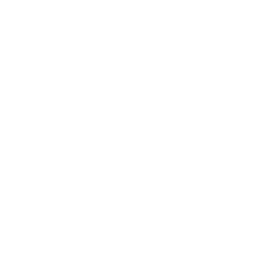 Adele Us Store