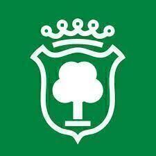 Alberi