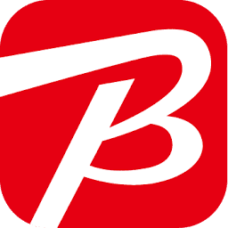 Bic Inc 