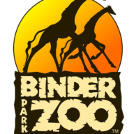 Binder