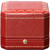 Cartier Lunettes