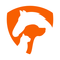 Contra Anima