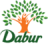 Dabu