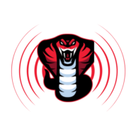Detroit Cobras
