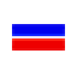Direct International