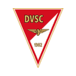 Dvs