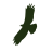 Eagle Creek Inc