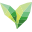 Eco Teas