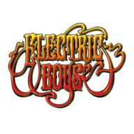 Electric Boys