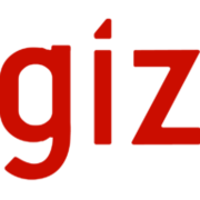 Global Giz