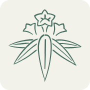 Kama