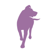 Kanine Records