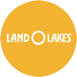 Land Lake