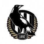 Magpies