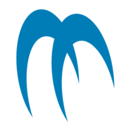 Maxxsonics Usa Inc 