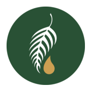 Melaleuca