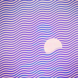 Moonchild Co 