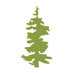 Ore