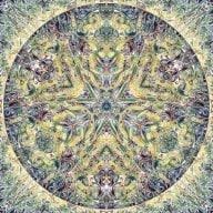 Ozric Tentacles
