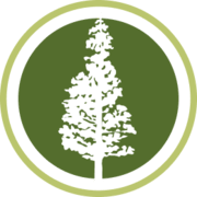 Palo 