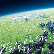 Planet E