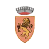 Radico