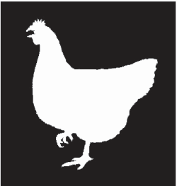 Red Hen Press