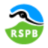 Rspb