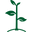 Seed Organics