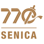 Seni