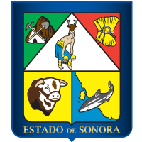 Sonor