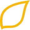 Syng