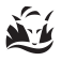 Tasma