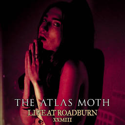 The Atlas Moth