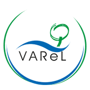 Vare