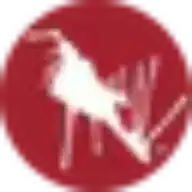 Varese International