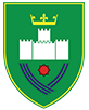 Viso