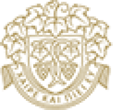 Wine Forest Ltd 
