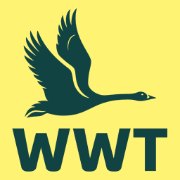 Wwt 1300