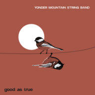 Yonder Mountain String Band